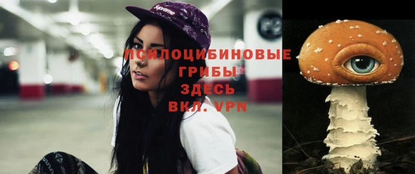 mix Белокуриха