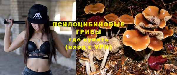 не бодяженный Беломорск